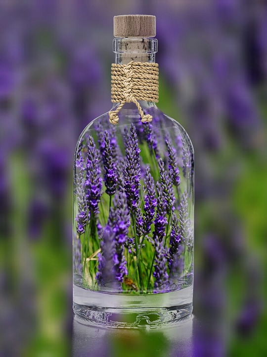 lavender-1490788_960_720.jpg