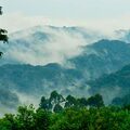 Virunga Nemzeti Park