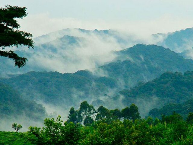 Virunga Nemzeti Park