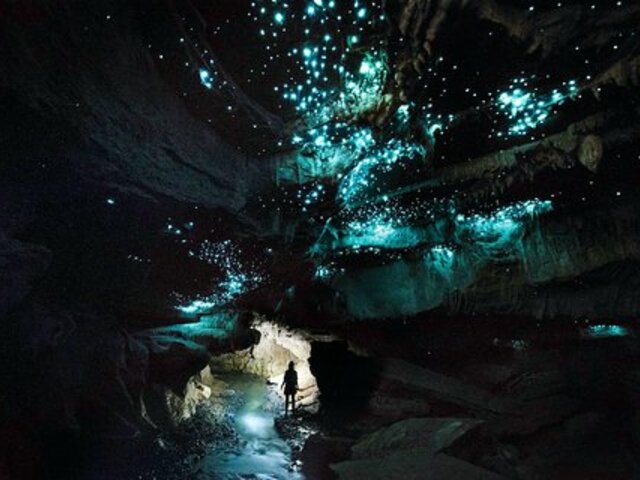 Waitomo fénybarlang