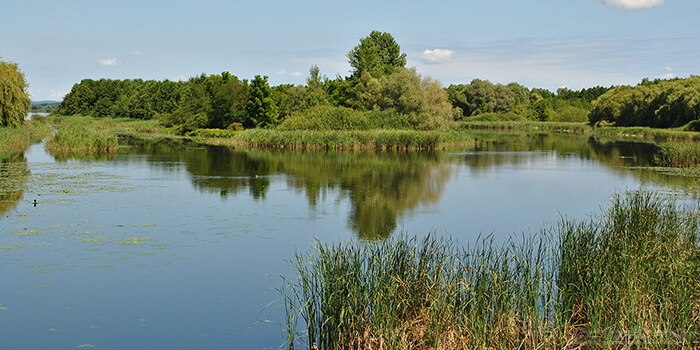 kisbalaton.jpg