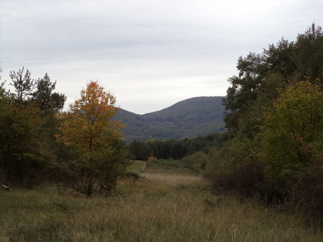 dsc00050-001.JPG