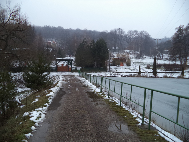 dsc01331-001.JPG