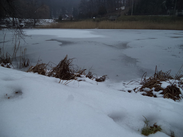 dsc01335-001.JPG