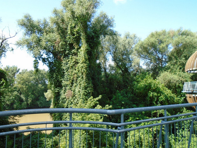 dsc01553.JPG