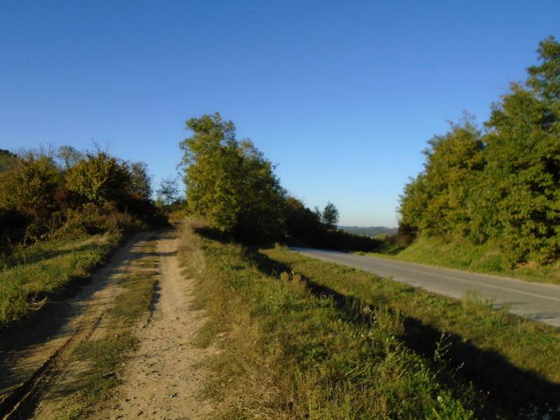 dsc02163.JPG