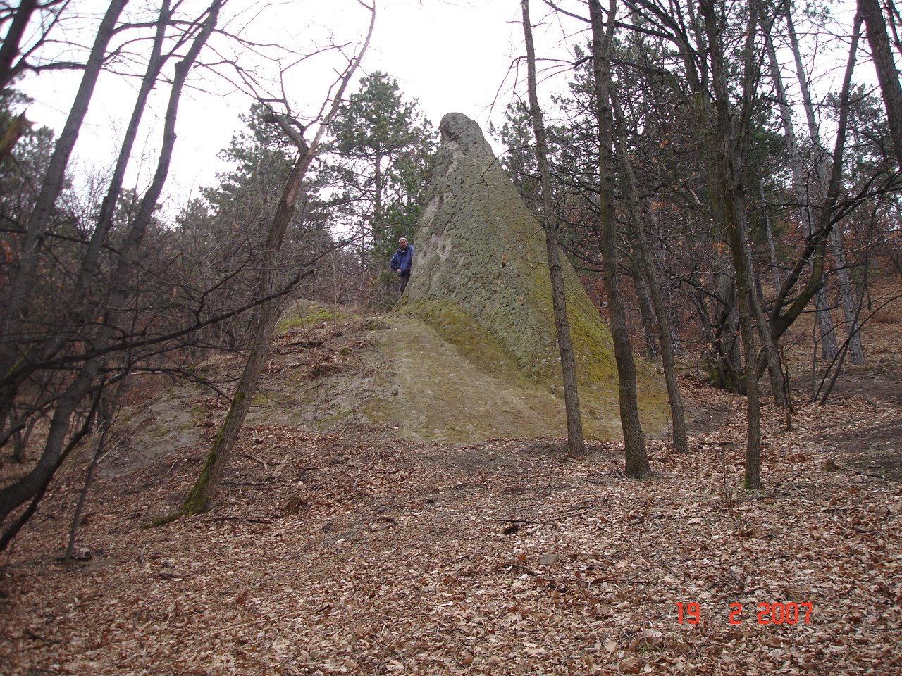 dsc02163_1.JPG