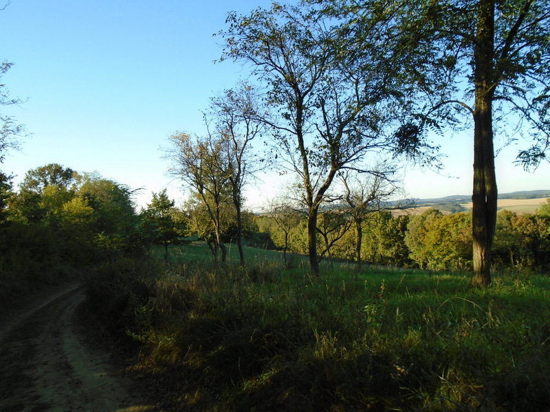 dsc02164.JPG