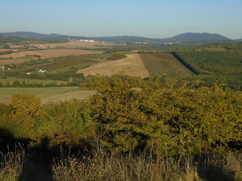 dsc02172.JPG