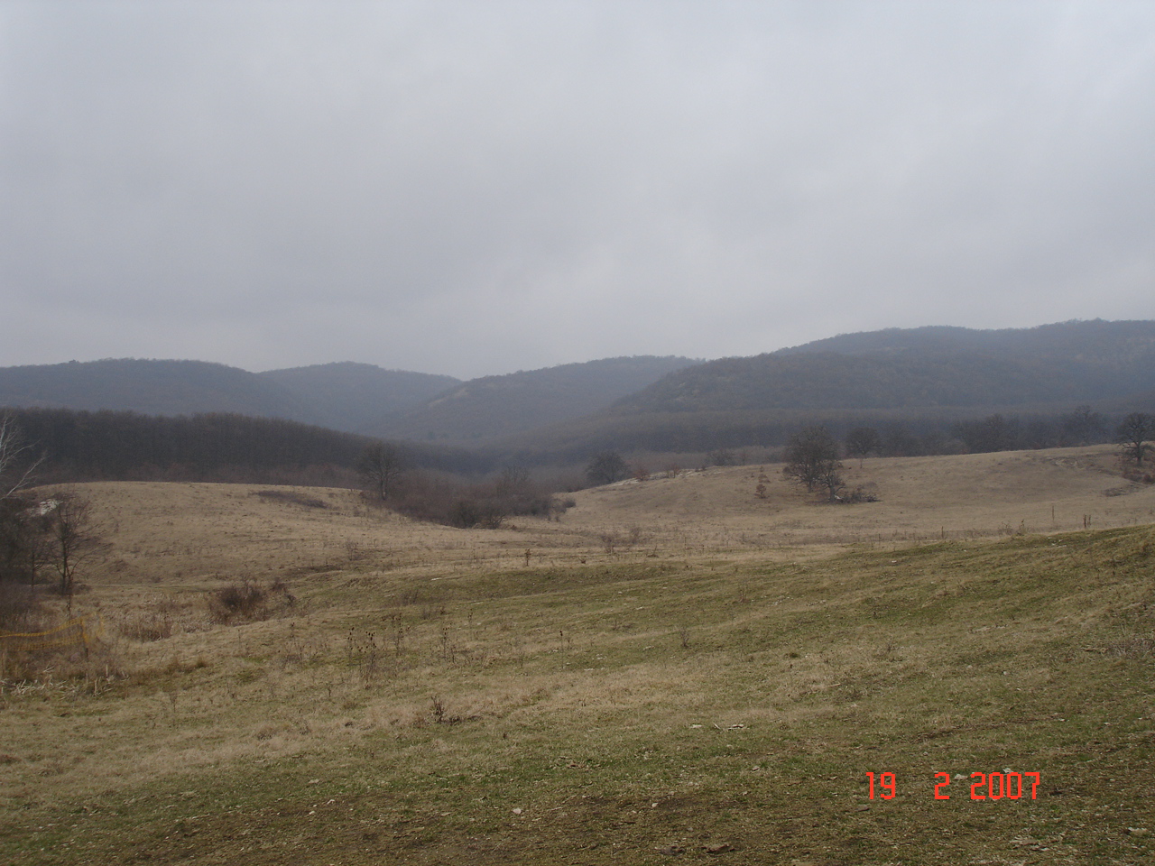 dsc02174.JPG