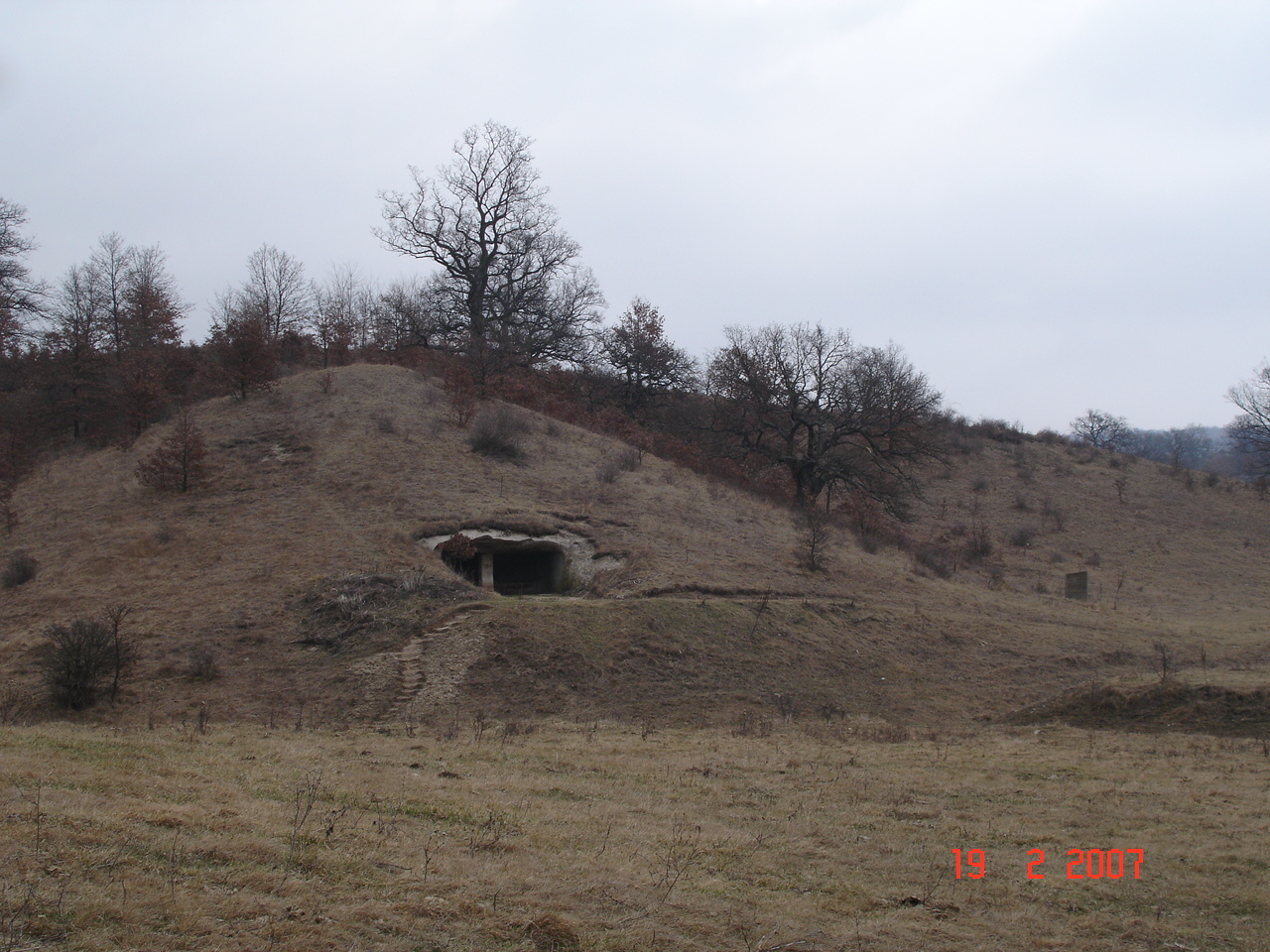 dsc02175.JPG