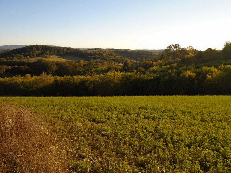 dsc02180.JPG