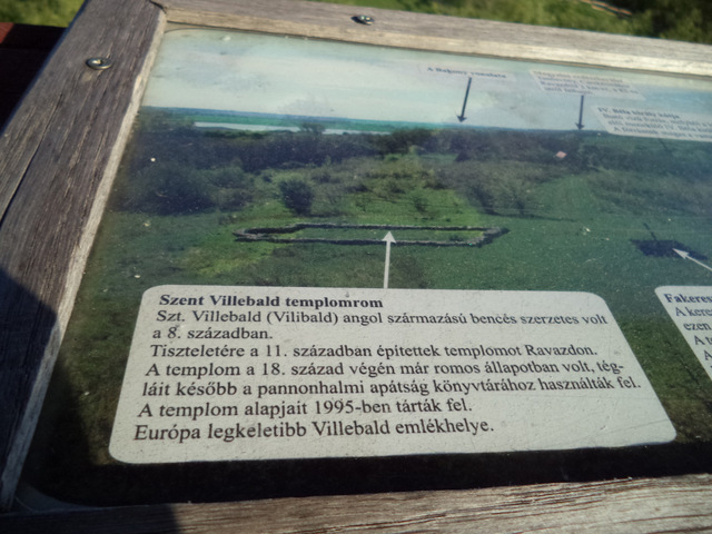 dsc02684-001.JPG
