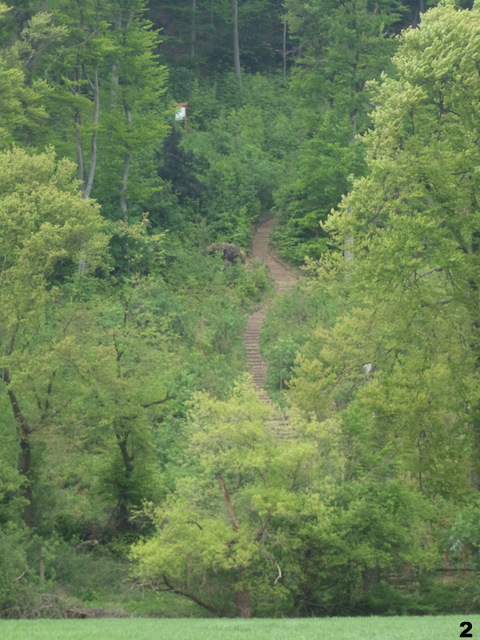 dsc03493-001.jpg