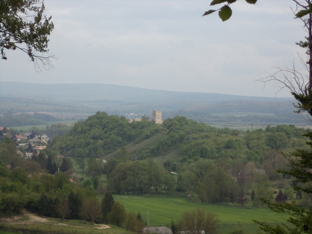 dsc03499-001.jpg