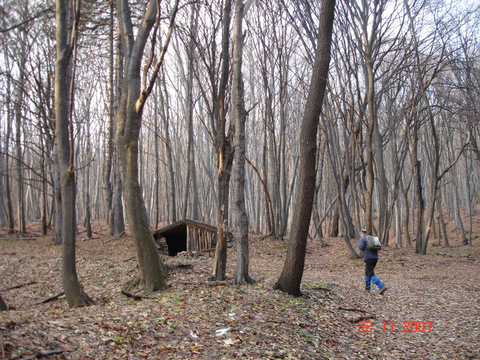 dsc05218-002.JPG