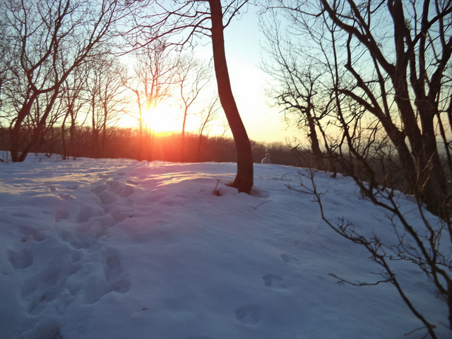 dsc05823-001.JPG