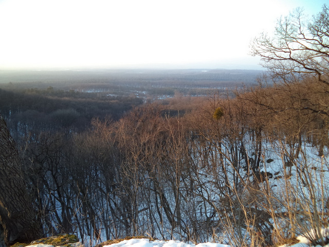dsc05825-001.JPG