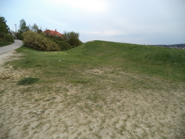 dsc07027-001.JPG