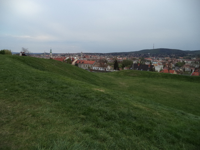 dsc07028-001.JPG