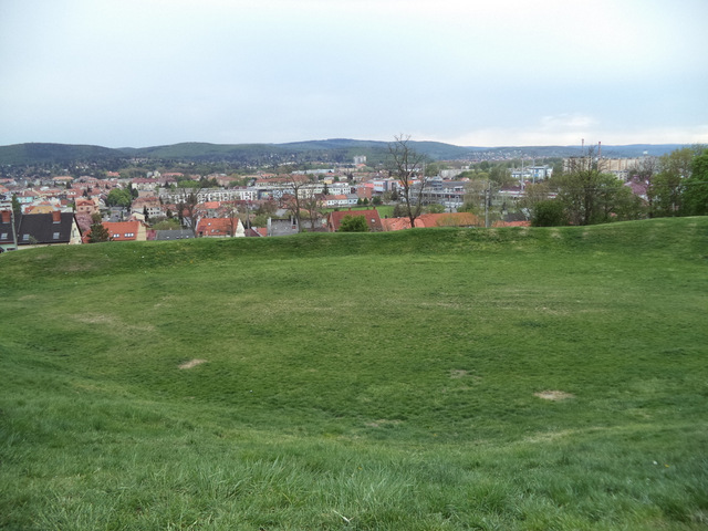 dsc07029-001.JPG