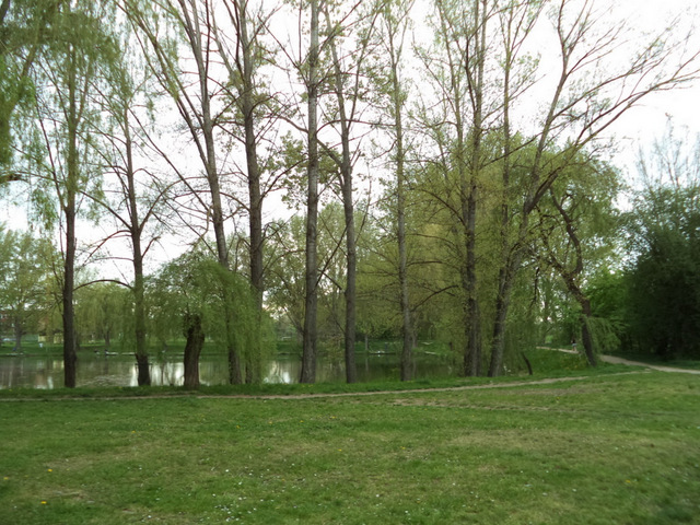 dsc07034-001.JPG