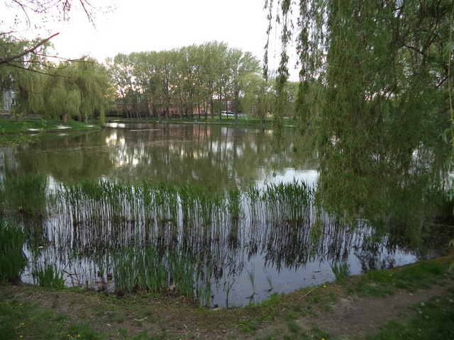dsc07035-001.JPG
