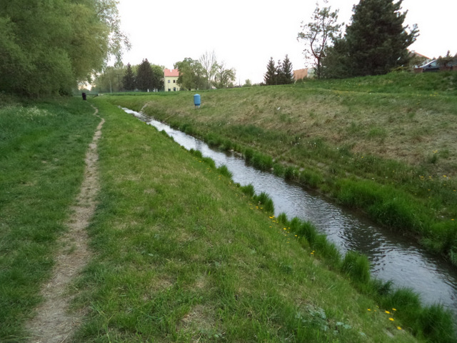 dsc07038-001.JPG