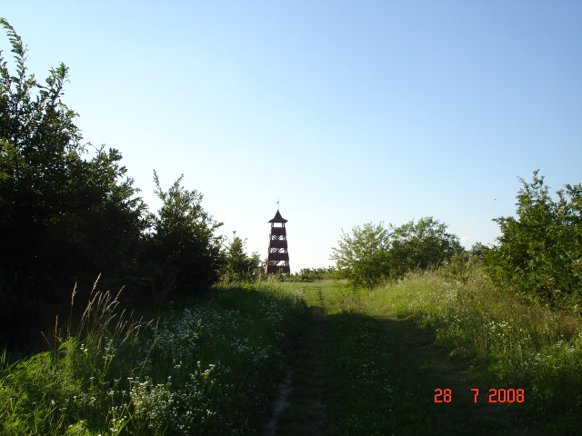 dsc07063-001.JPG