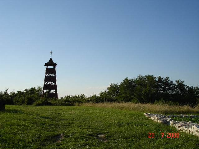 dsc07064-001.JPG
