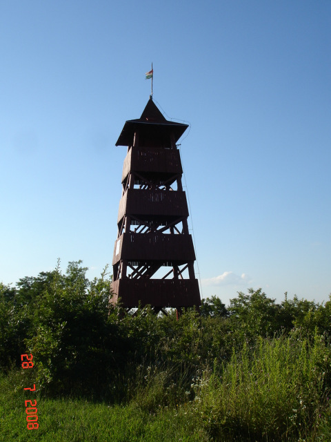 dsc07065-001.JPG