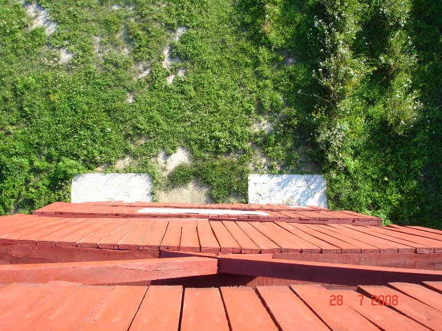 dsc07076-001.JPG