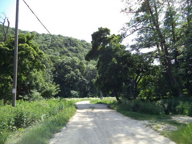 dsc07741-001.JPG