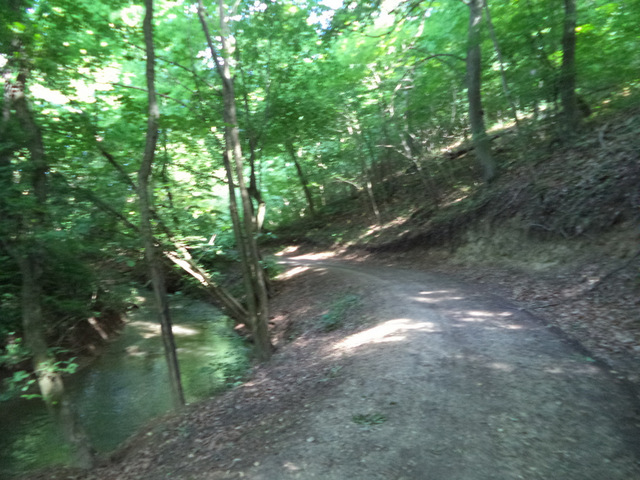 dsc07753-001.JPG
