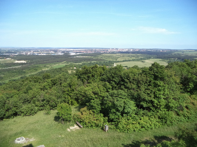 dsc07774-001.JPG