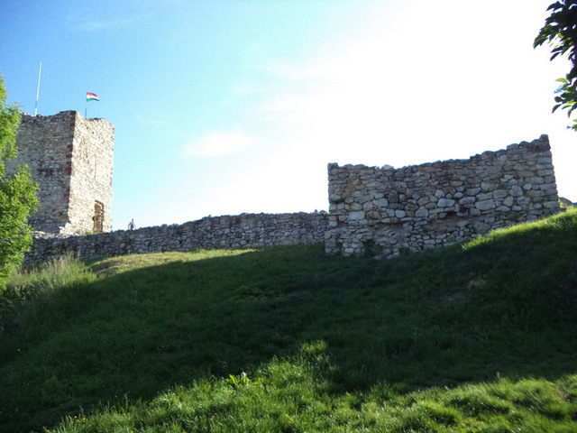 dsc07789-001.JPG