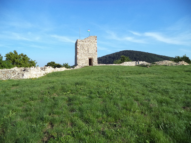 dsc07790-001.JPG