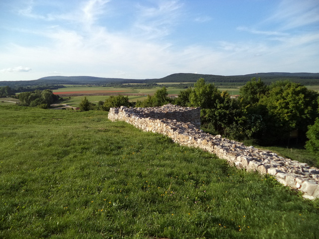 dsc07795-001.JPG