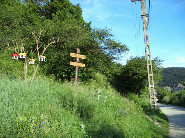dsc07807-001.JPG