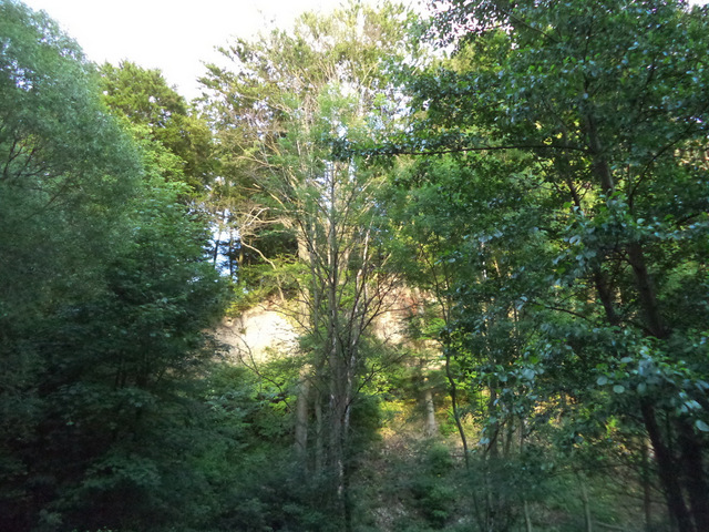 dsc07812-001.JPG