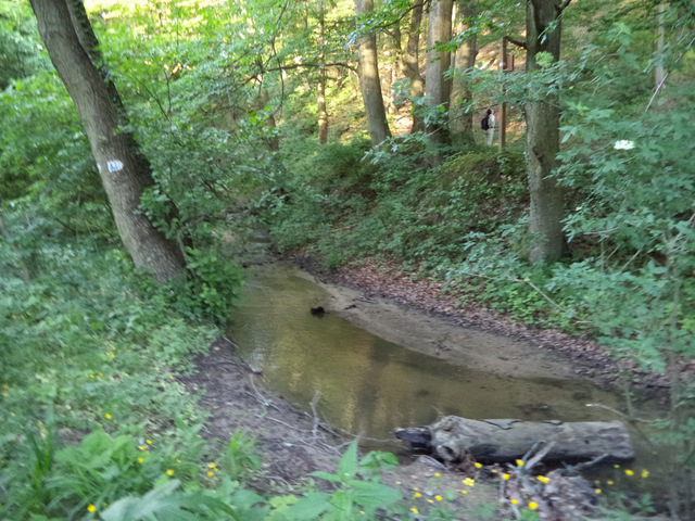 dsc07813-001.JPG