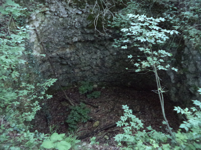 dsc07818-001.JPG