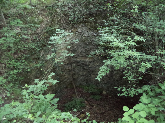 dsc07819-001.JPG