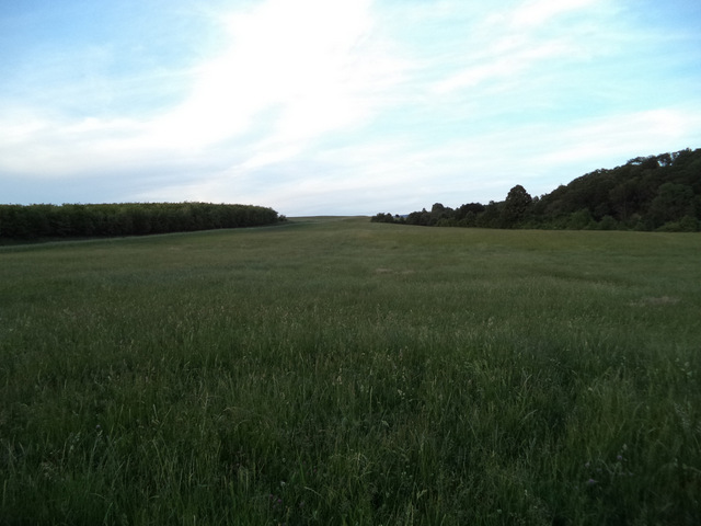 dsc07821-001.JPG