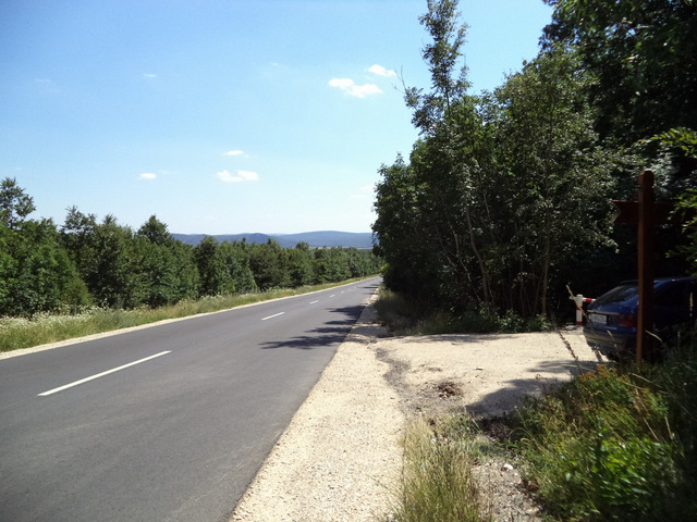 dsc08553-001.JPG