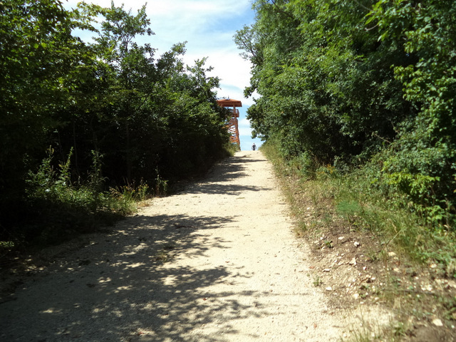 dsc08556-001.JPG