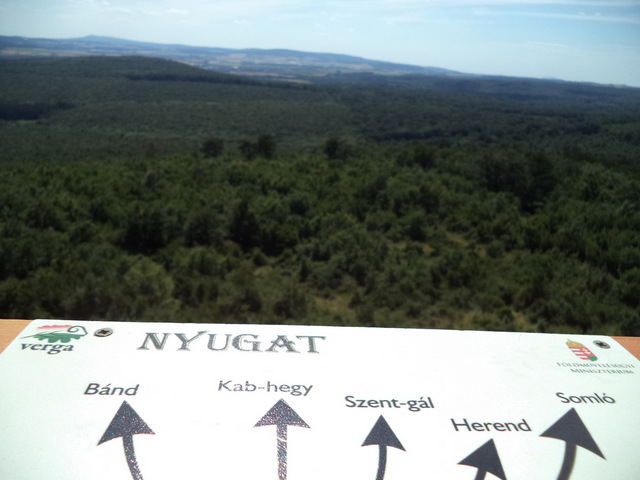 dsc08563-001.JPG