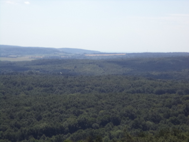 dsc08564-001.JPG