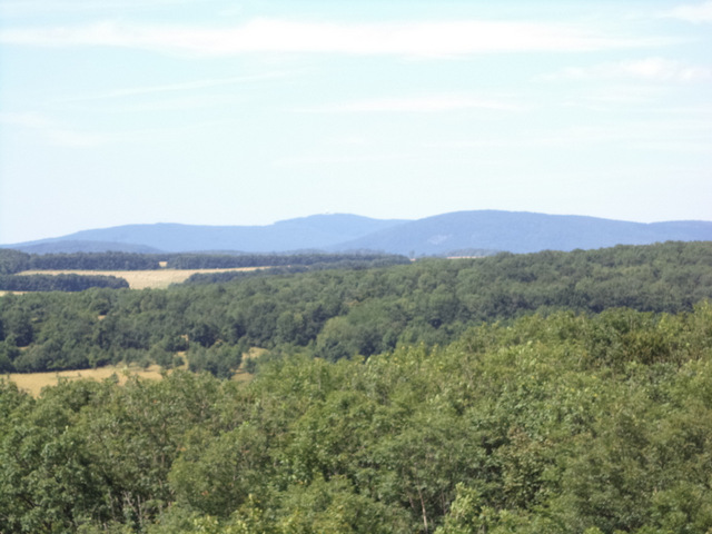 dsc08565-001.JPG