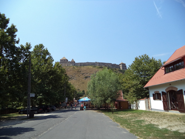 dsc08981-001.JPG
